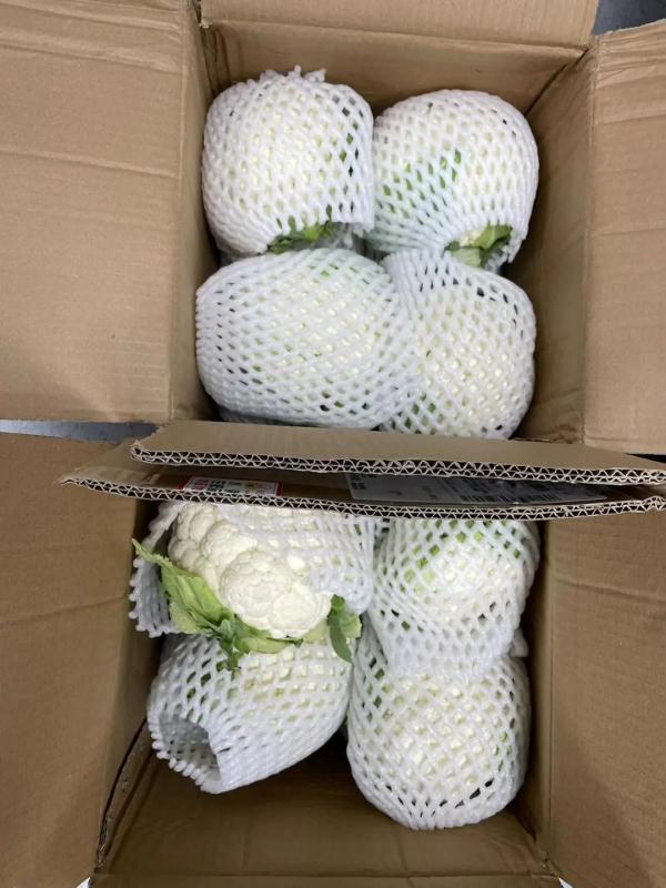 厉害!他们1个月连发6篇Nature、Science 厉害!他们1个月连发6篇Nature、Science