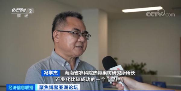 一整个大期待！国产榴莲将大规模上市