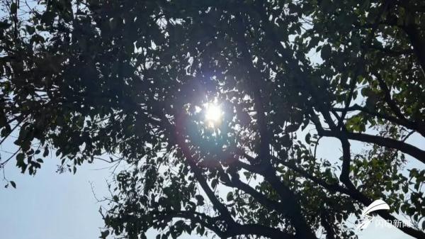 山东中到大雨局部暴雨！降温或超14℃！今年最强雨雪来袭！厚衣服先别收！