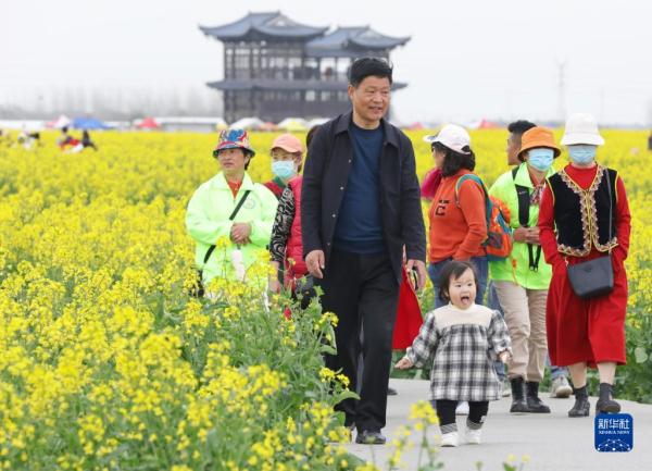 江苏兴化：“垛”上花开春意浓