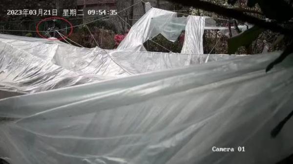 跨越100多公里，8小时速破一起盗窃案