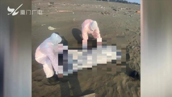 台湾惊现海上浮尸！已有20具！部分身份确认……