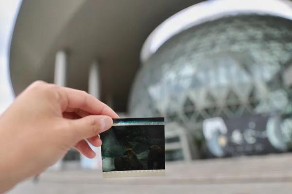 暂别了！上海今天有人请假来看TA，还有惊喜！在《欢乐颂》《大灌篮》里都亮相过→