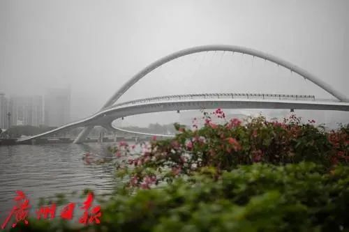 广东人快要发霉了！回南天要来了？雨停见阳光要到……