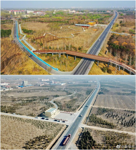 一组对比图看雄安变化有多大