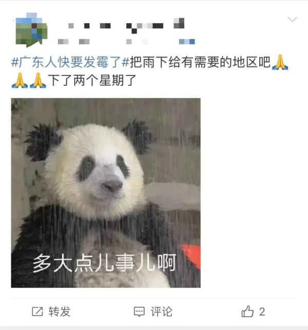 广东人成全国最“潮”的仔！回南天+下雨天又要来了？