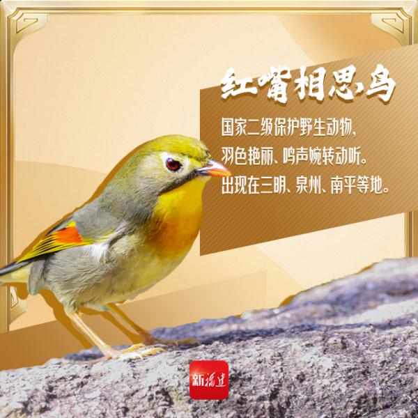 今天,你“鸟”解吗? 今天,你“鸟”解吗?