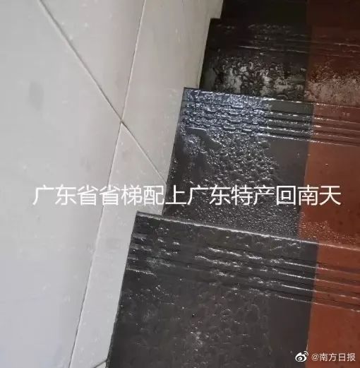 广东人成全国最“潮”的仔！回南天+下雨天又要来了？