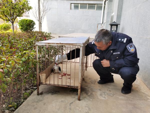 当报警这件“小事”，被动物学会了