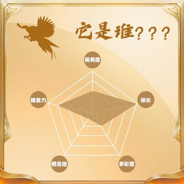 今天,你“鸟”解吗? 今天,你“鸟”解吗?