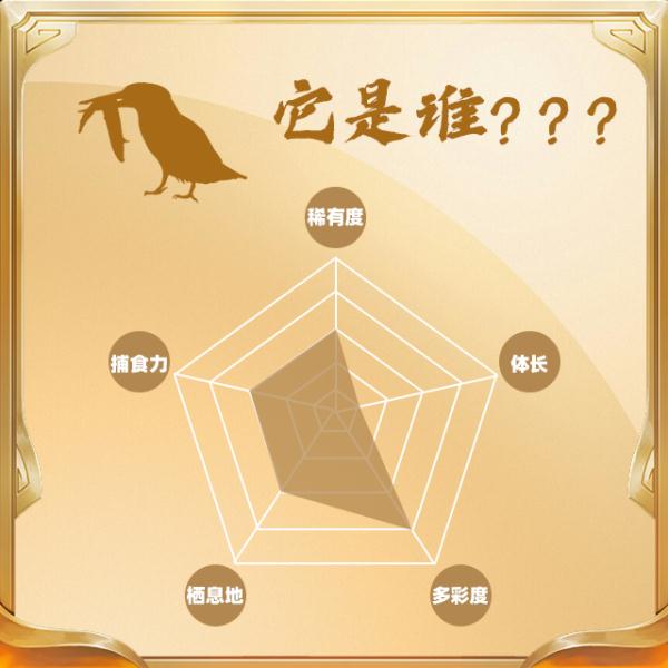 今天,你“鸟”解吗? 今天,你“鸟”解吗?