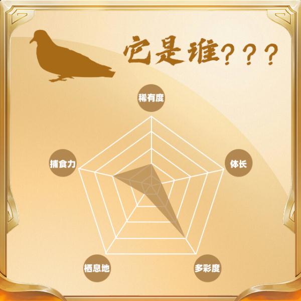 今天,你“鸟”解吗? 今天,你“鸟”解吗?