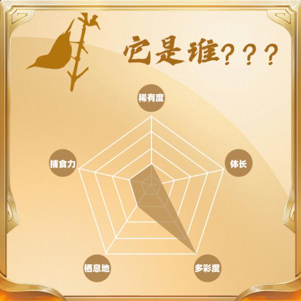 今天,你“鸟”解吗? 今天,你“鸟”解吗?