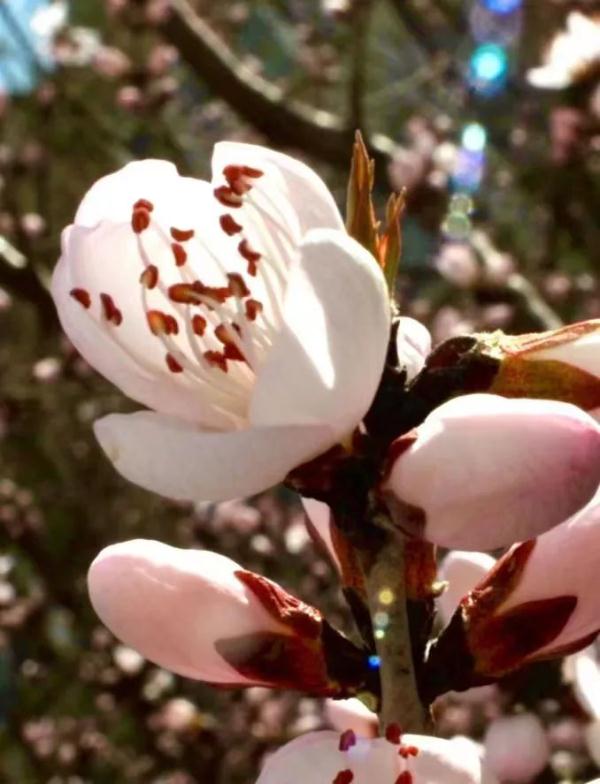 紧急通知！今年来最大范围强雨雪开启！下周沈阳……