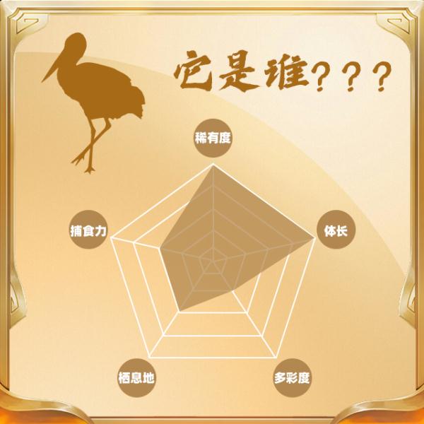 今天,你“鸟”解吗? 今天,你“鸟”解吗?