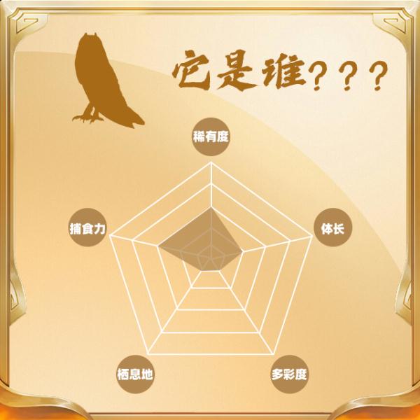 今天,你“鸟”解吗? 今天,你“鸟”解吗?