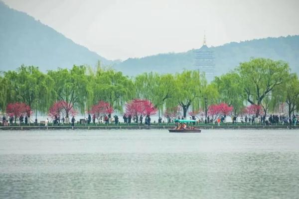一言难尽啊...杭州网友忍不住吐槽：烦死了！