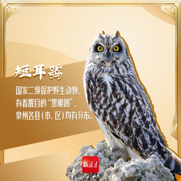 今天,你“鸟”解吗? 今天,你“鸟”解吗?