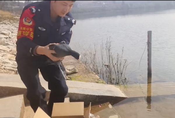 当报警这件“小事”，被动物学会了