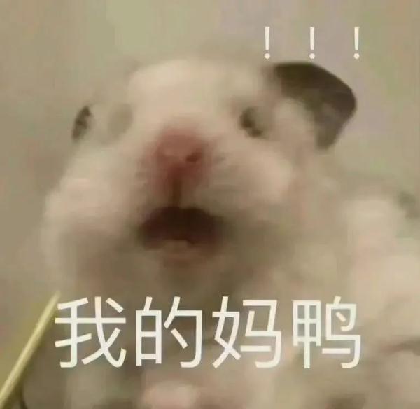 一言难尽啊...杭州网友忍不住吐槽：烦死了！