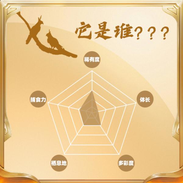 今天,你“鸟”解吗? 今天,你“鸟”解吗?