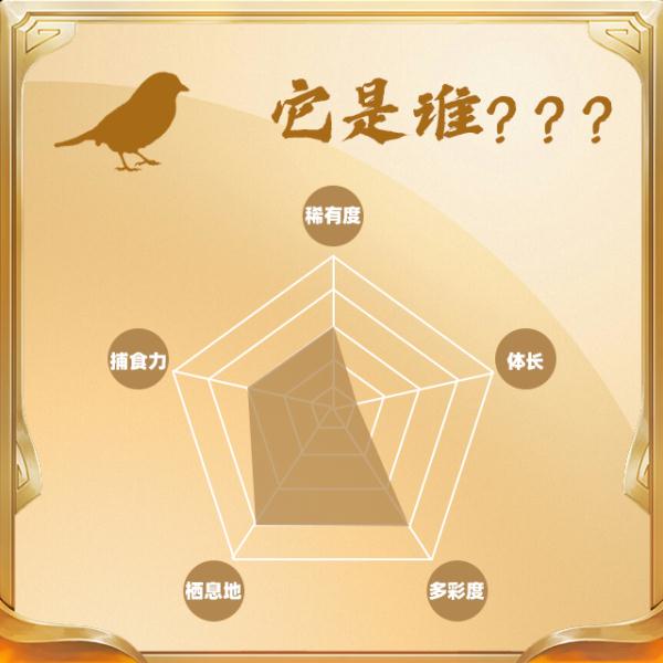 今天,你“鸟”解吗? 今天,你“鸟”解吗?