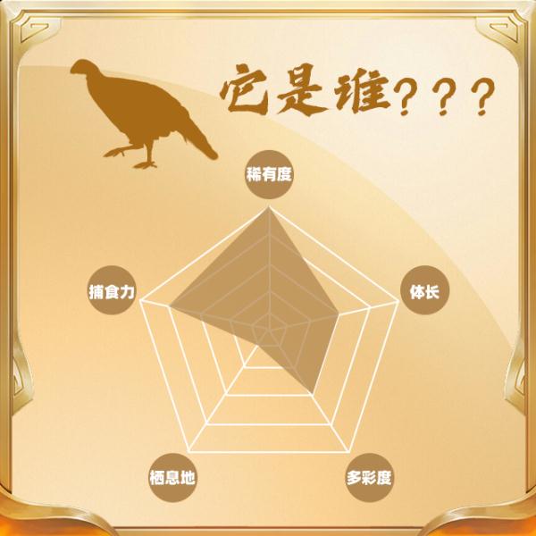 今天,你“鸟”解吗? 今天,你“鸟”解吗?