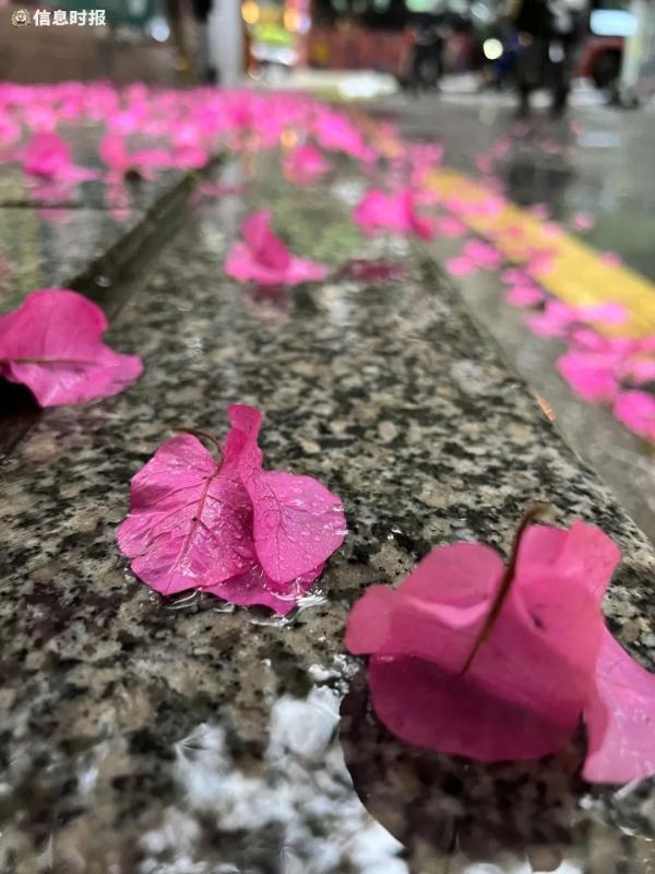 广东“潮”上热搜！回南天已到！别慌，冷空气在路上了