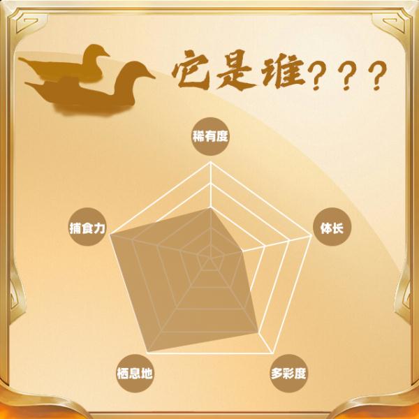 今天,你“鸟”解吗? 今天,你“鸟”解吗?