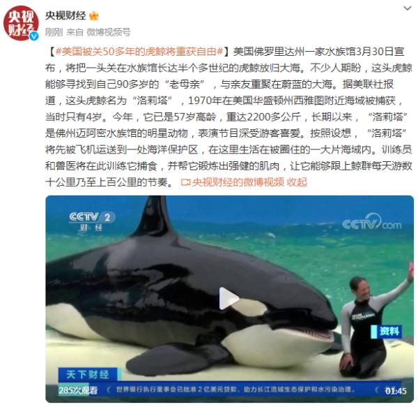 美国被关50多年的虎鲸将重获自由