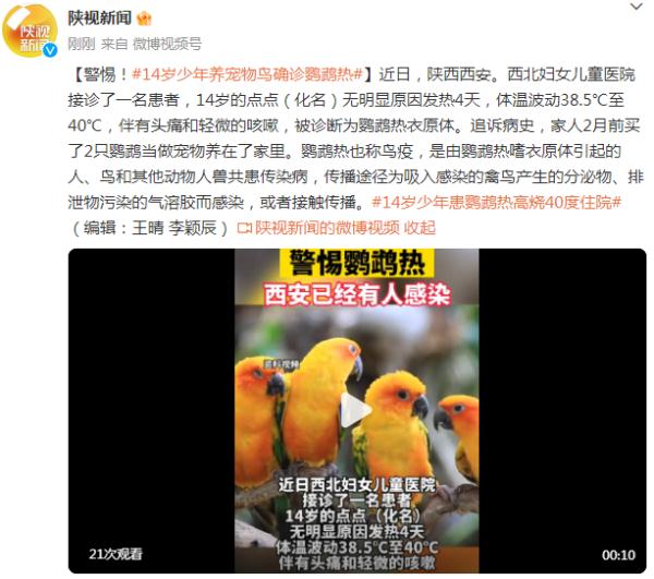警惕!14岁少年养宠物鸟确诊鹦鹉热 警惕!14岁少年养宠物鸟确诊鹦鹉热