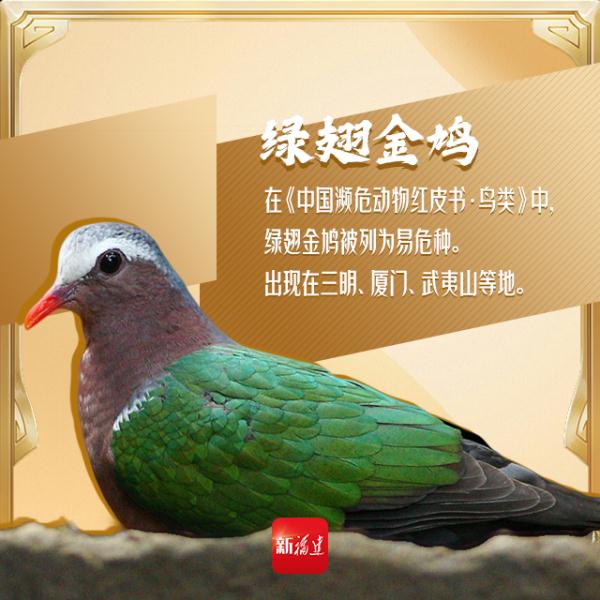 今天,你“鸟”解吗? 今天,你“鸟”解吗?