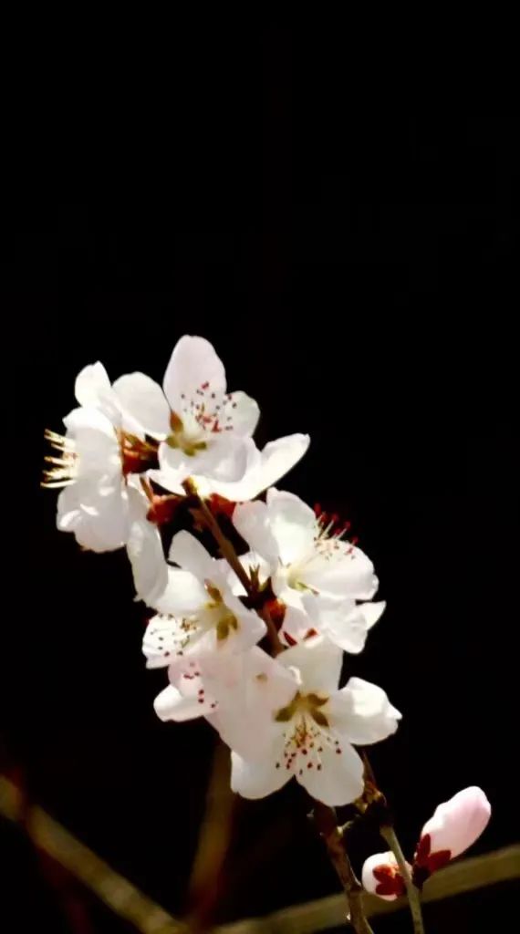 紧急通知！今年来最大范围强雨雪开启！下周沈阳……