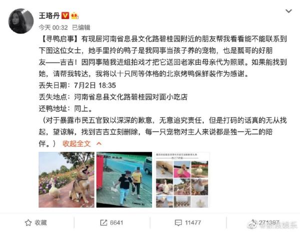 养了4年的爱宠被盗，找到时已成他人下酒菜？此事已不是第一次发生→