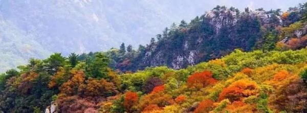 清明假期深圳增开高铁200余列！多地宣布免票，优惠→