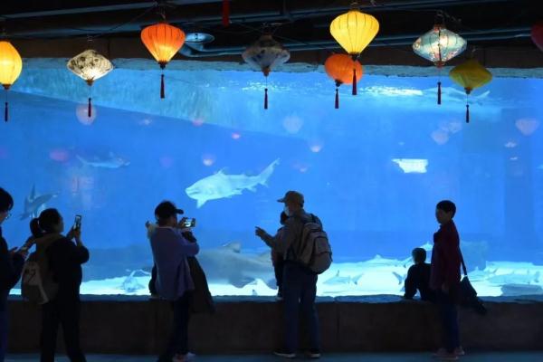 关注世界自闭症日丨这些危险因素或引发孤独症