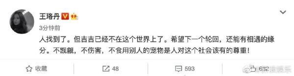 养了4年的爱宠被盗，找到时已成他人下酒菜？此事已不是第一次发生→