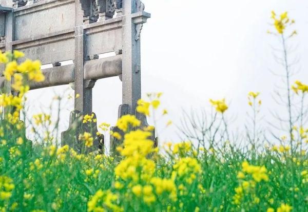 株洲交警提醒：2023清明假期出行指南