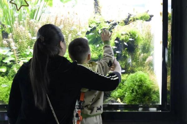 关注世界自闭症日丨这些危险因素或引发孤独症