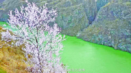 “赏花地图”来啦!青海多地陆续开启赏花模式 “赏花地图”来啦!青海多地陆续开启赏花模式