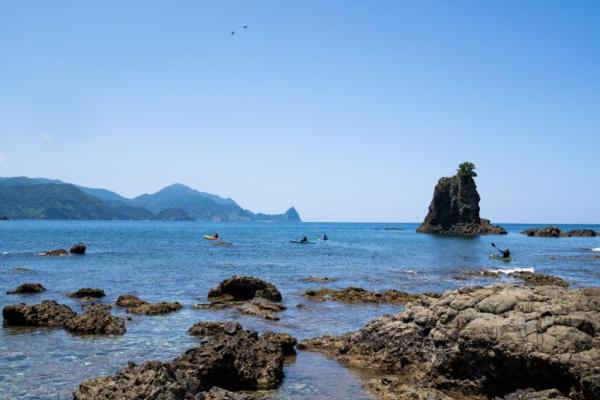 惊喜！海洋8300多米深处仍有鱼