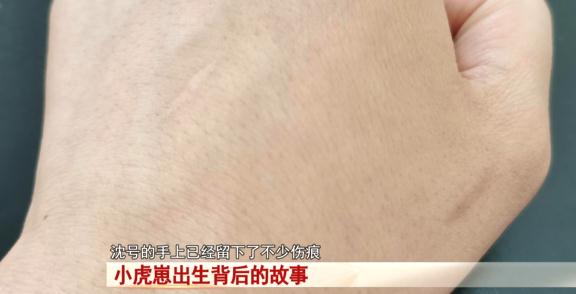阜阳：诞下小虎崽后虎妈不管不顾，四个“90后”小伙客串“虎爸”！
