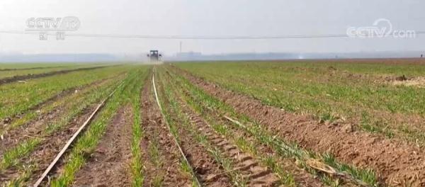 河北多地抓好春耕春管 为粮食稳产高产打好基础 河北多地抓好春耕春管 为粮食稳产高产打好基础