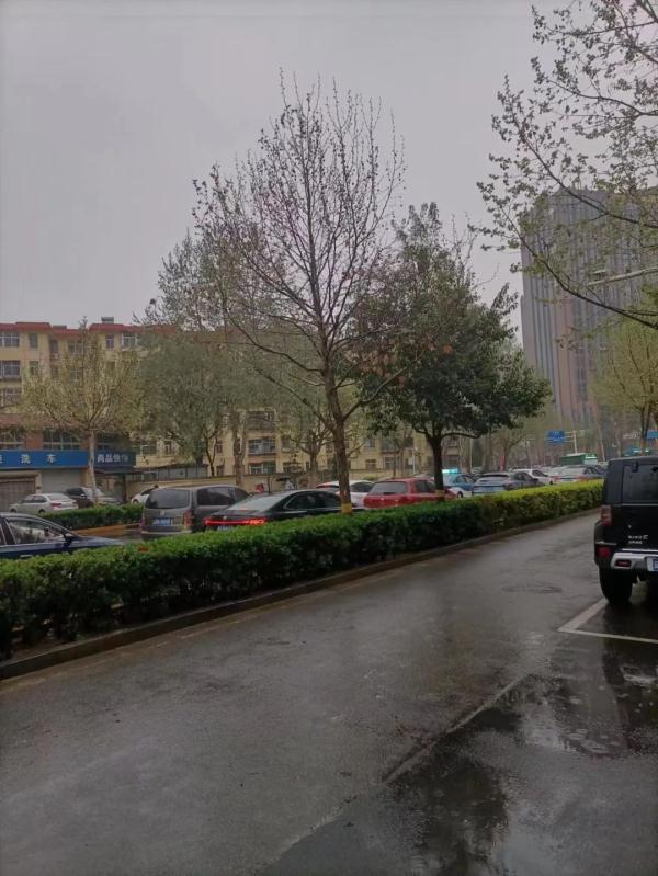 石家庄下雨了！河北大雨+小到中雪发货中……