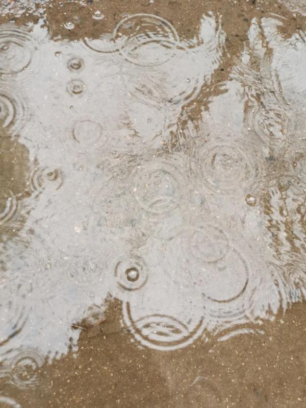 石家庄下雨了！河北大雨+小到中雪发货中……
