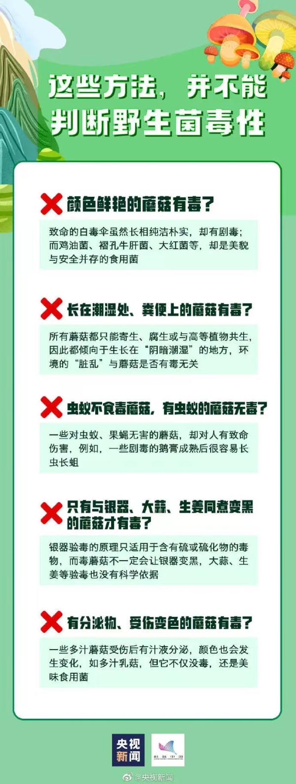 不要靠近会变得不幸！华南最有名毒蘑菇即将上线