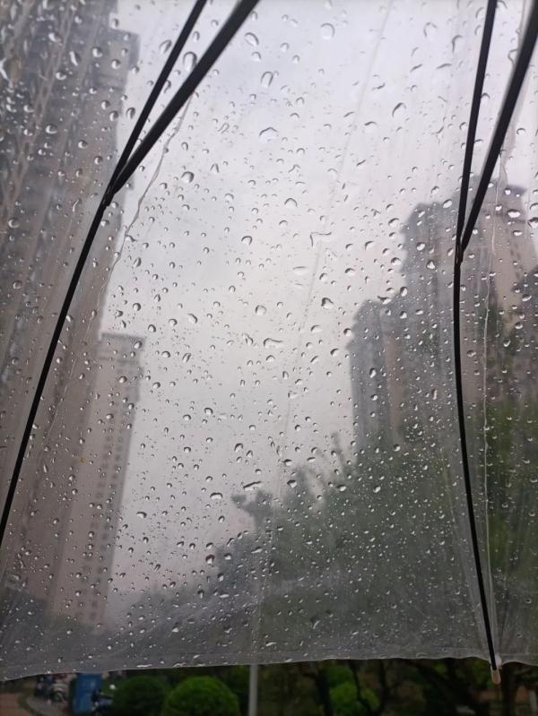 石家庄下雨了！河北大雨+小到中雪发货中……
