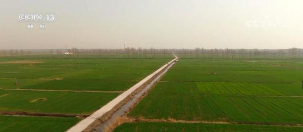 河北多地抓好春耕春管 为粮食稳产高产打好基础 河北多地抓好春耕春管 为粮食稳产高产打好基础
