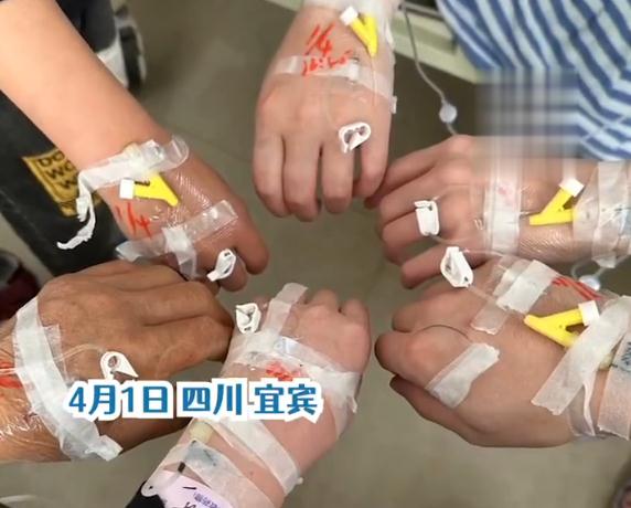 清明扫墓后挖野菜，一家6口集体中毒！