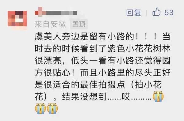 你踩着花拍照的样子真丑！上海5000平米花海被成片破坏，花期提前结束